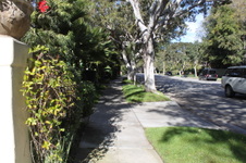 Enlarge photo 29