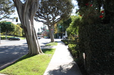 Enlarge photo 37