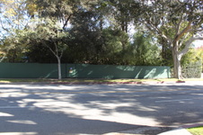 Enlarge photo 40