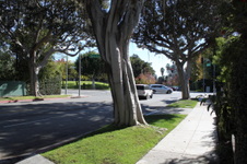 Enlarge photo 41