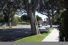Enlarge photo 46