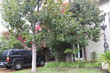 Enlarge photo 3