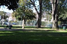 Enlarge photo 12