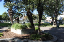 Enlarge photo 14