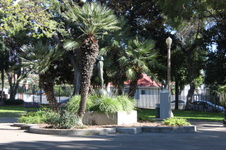 Enlarge photo 21