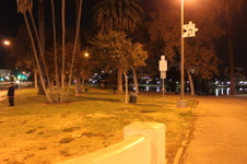 McArthur Park