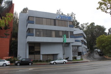 Vivid Entertainment