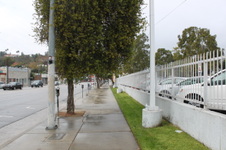 Enlarge photo 16