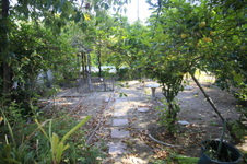 Enlarge photo 6