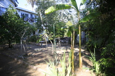 Enlarge photo 14