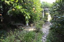 Enlarge photo 12