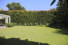 Enlarge photo 22