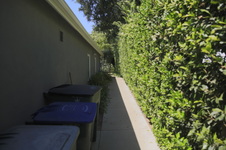 Enlarge photo 2