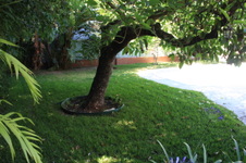 Enlarge photo 30
