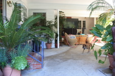 Enlarge photo 24