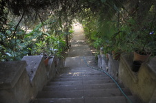 Enlarge photo 11