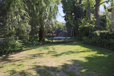 Enlarge photo 4