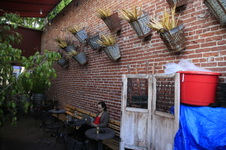 Enlarge photo 12