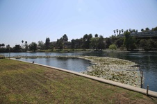 Enlarge photo 33