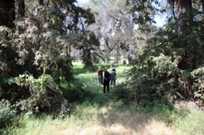 Enlarge photo 2