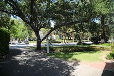Enlarge photo 57