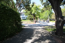 Enlarge photo 58