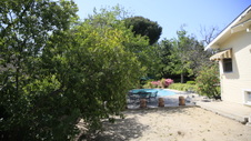 Enlarge photo 16