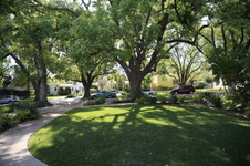 Enlarge photo 6