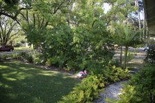 Enlarge photo 9