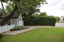 Enlarge photo 141