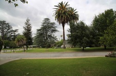 Enlarge photo 145