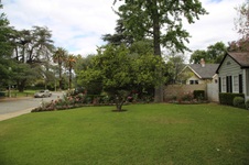 Enlarge photo 146
