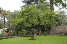Enlarge photo 147