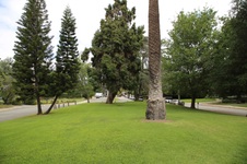 Enlarge photo 148