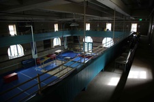 Enlarge photo 50