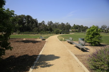 Enlarge photo 13