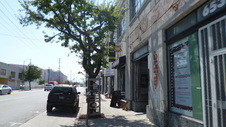 Enlarge photo 30