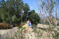 Enlarge photo 3