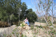 Enlarge photo 4