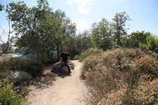 Enlarge photo 6