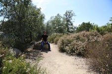Enlarge photo 7