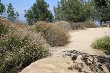 Enlarge photo 11