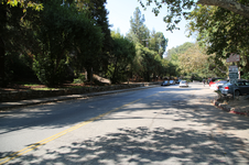 Griffith Park Fern Dell Dr/Mt Hollywood