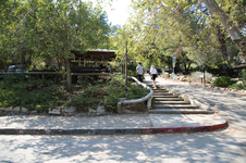Enlarge photo 24
