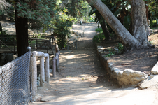 Enlarge photo 27