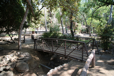 Enlarge photo 28