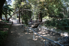 Enlarge photo 30