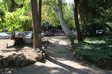 Enlarge photo 31