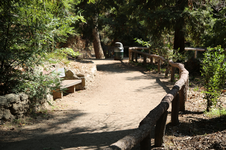 Enlarge photo 32