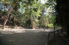 Enlarge photo 33